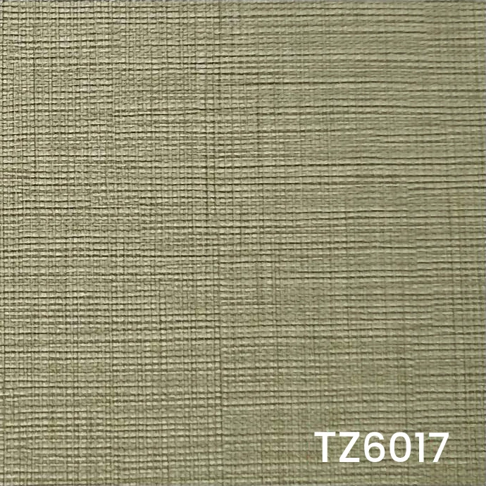 TZ6017