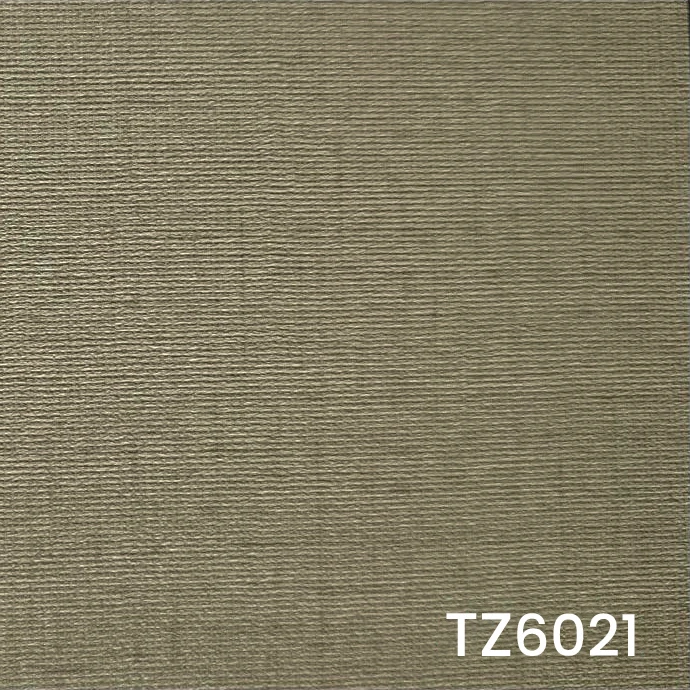 TZ6021