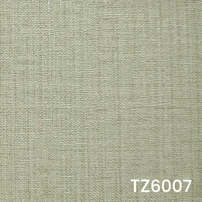 TZ6007