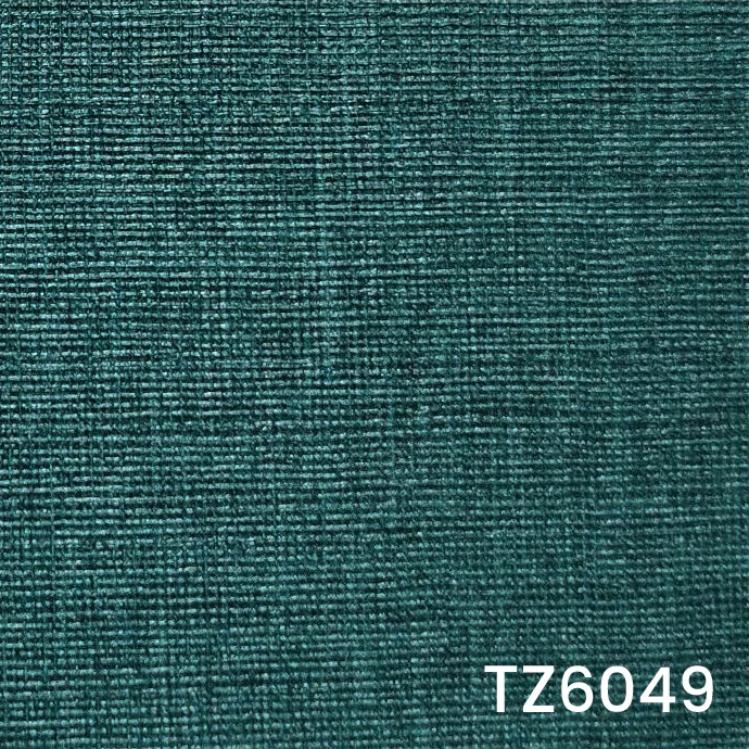 TZ6049