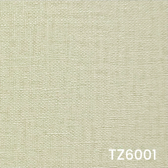 TZ6001